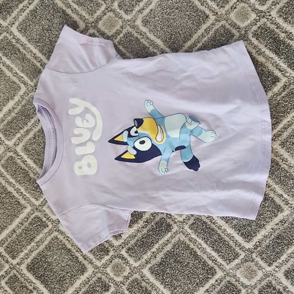 LAST CHANCE BEFORE DONATION! Bluey Shirt